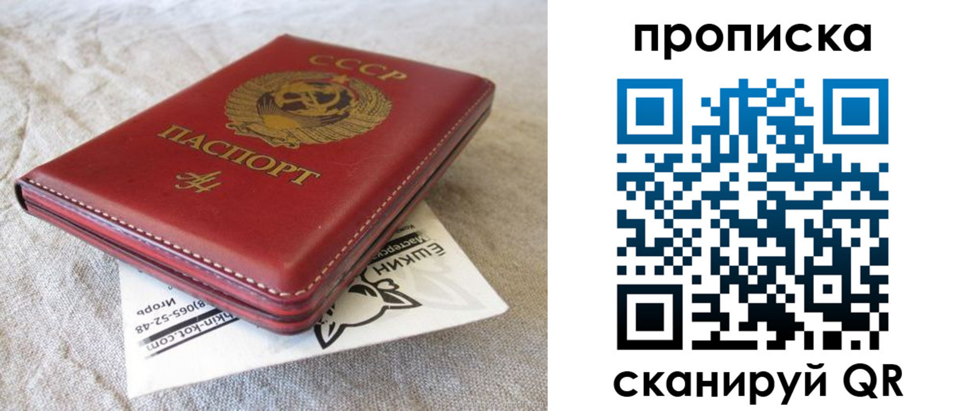 прописка для школы в Полярных Зорях